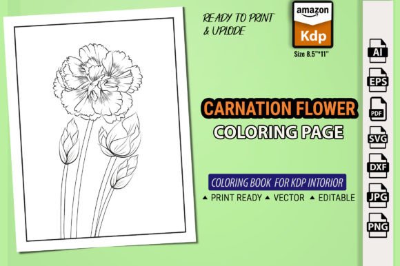 A Carnation Flower Graphic: A Brand Designer’s Review