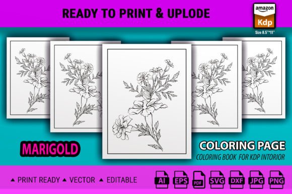 A Marigold Flower Vector: A Brand Designer's Practical Review