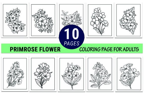 A Professional Designer's Review of the Primrose Vector Art & Primula Flower Graphics
